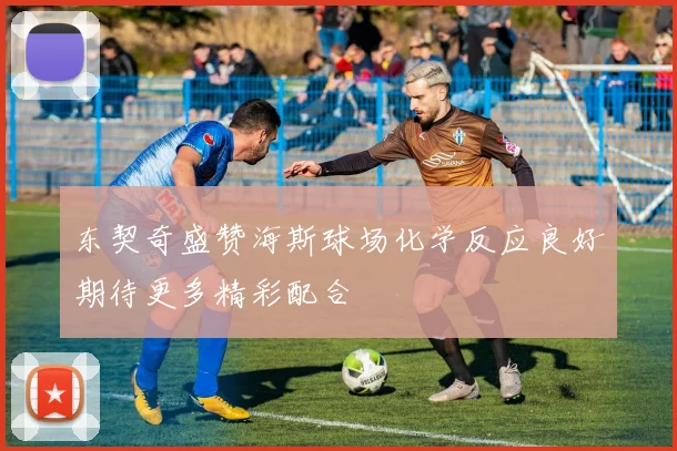 东契奇盛赞海斯球场化学反应良好期待更多精彩配合