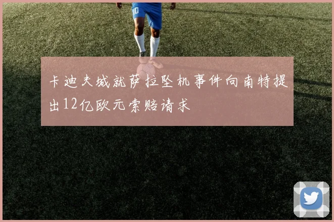 卡迪夫城就萨拉坠机事件向南特提出12亿欧元索赔请求