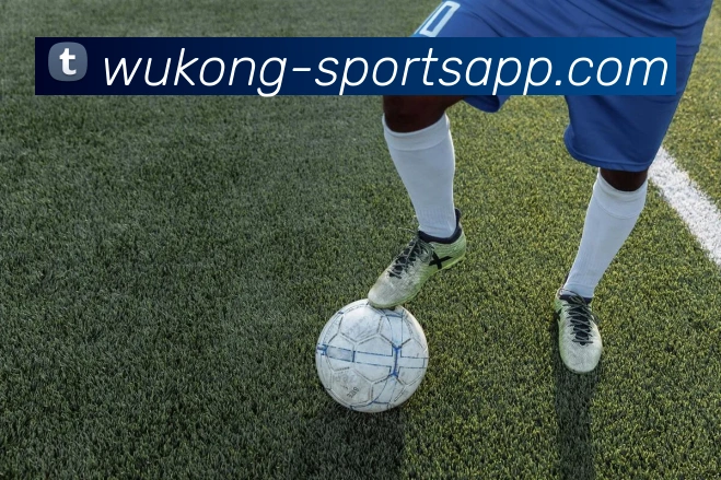 悟空体育发展历程